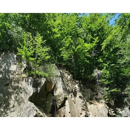 Panoramic View Of Lake Harz *